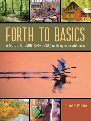 cover image of Forth to Basics